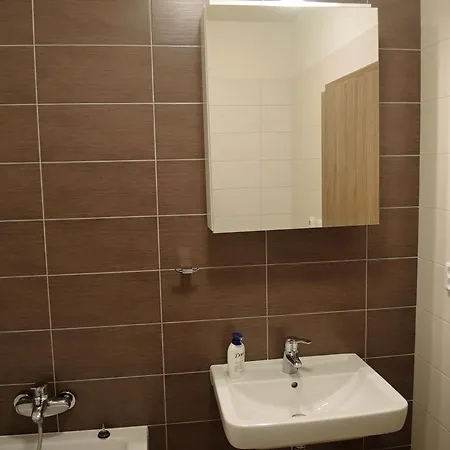 Na Dolni Morave شقة *